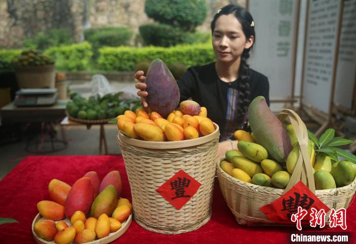 云南永德芒果节精彩纷呈 (https://www.astrots.cn/) 生肖解读 第1张